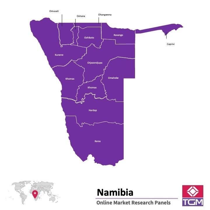 PANEL ONLINE DI NAMIBIA |  Riset Pasar di Namibia