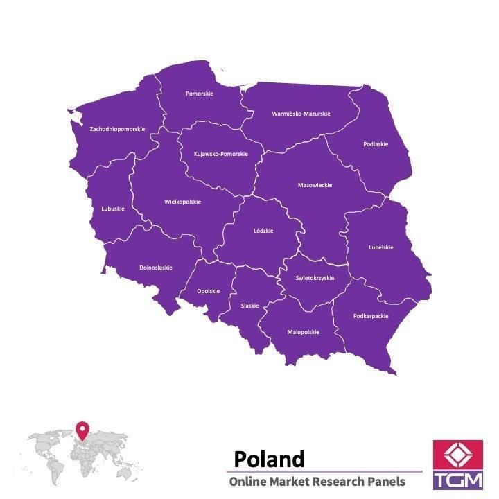 PANEL ONLINE DI POLANDIA |  Riset Pasar di Polandia
