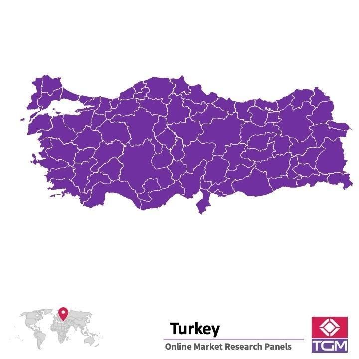 PANEL ONLINE DI TURKI |  Riset Pasar di Turki