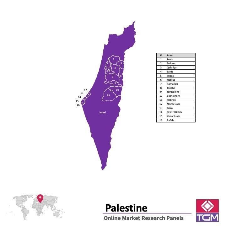 PANEL ONLINE DI PALESTINA |  Riset Pasar di Palestina