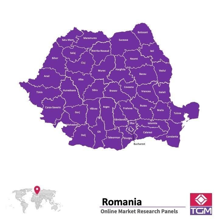 PANEL ONLINE DI ROMANIA |  Riset Pasar di Romania
