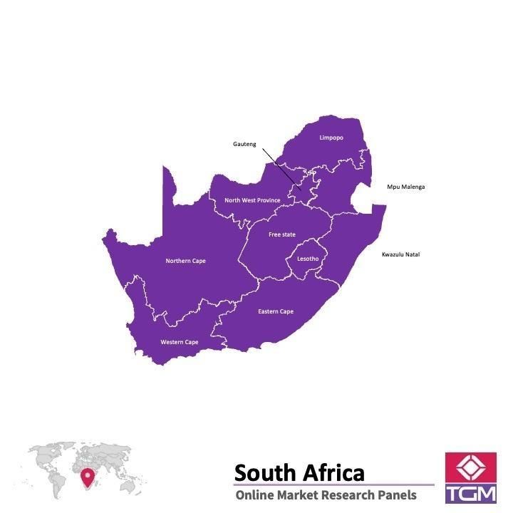 PANEL ONLINE DI AFRIKA SELATAN |  Riset Pasar di Afrika Selatan