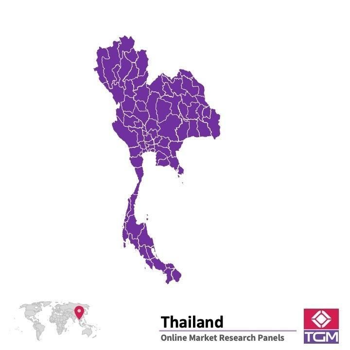 PANEL ONLINE DI THAILAND |  Riset Pasar di Thailand