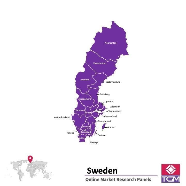 PANEL ONLINE DI SWEDIA |  Riset Pasar di Swedia