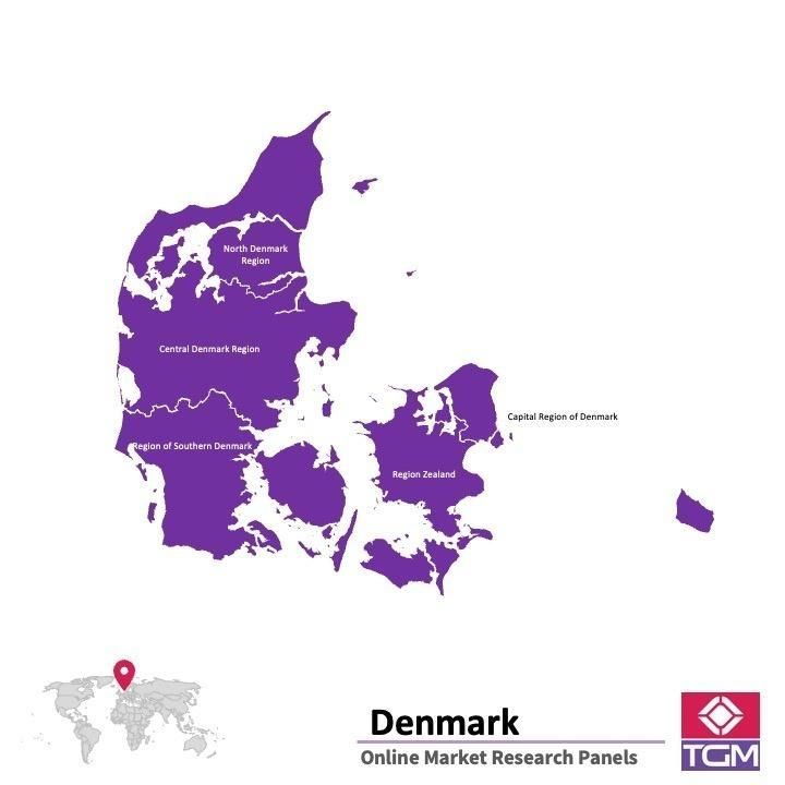 PANEL ONLINE DI DENMARK |  Riset Pasar di Denmark