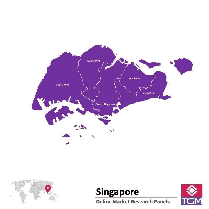 PANEL ONLINE DI SINGAPURA |  Riset Pasar di Singapura