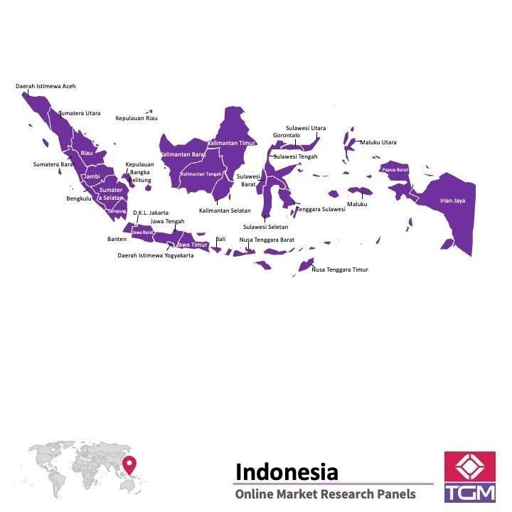 PANEL ONLINE DI INDONESIA |  Riset Pasar di Indonesia