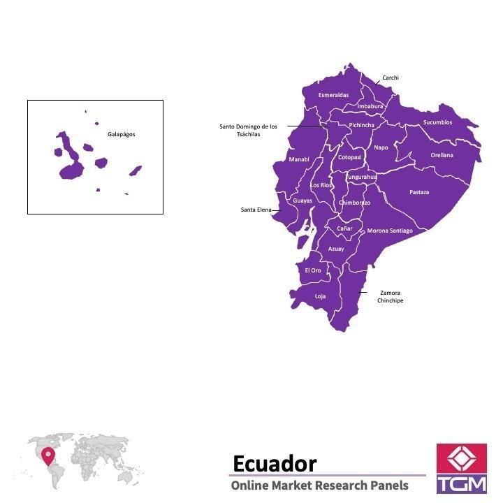 PANEL ONLINE DI EKUADOR |  Riset Pasar di Ekuador