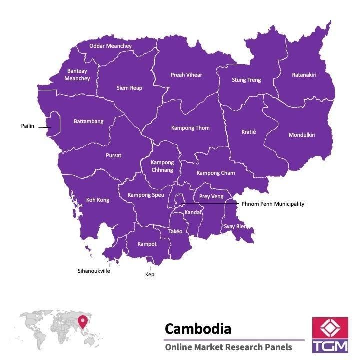 PANEL ONLINE DI KAMBOJA |  Riset Pasar di Kamboja