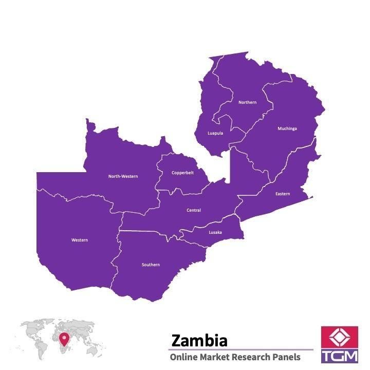 PANEL ONLINE DI ZAMBIA |  Riset Pasar di Zambia
