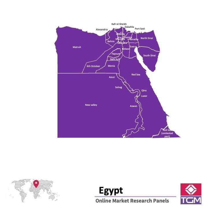 PANEL ONLINE DI MESIR |  Riset Pasar di Mesir