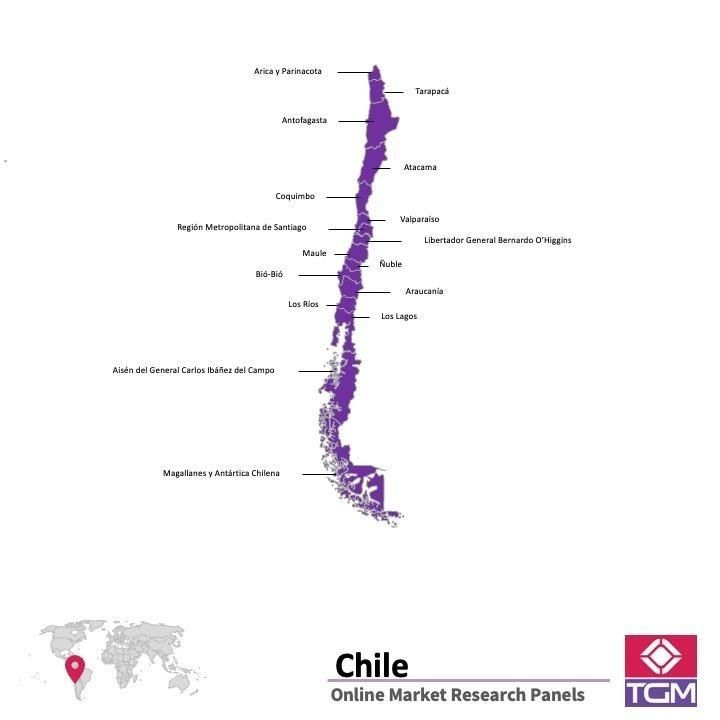 PANEL ONLINE DI CHILE |  Riset Pasar di Chile