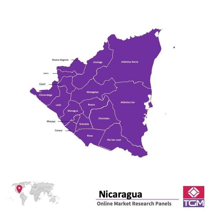 PANEL ONLINE DI NIKARAGUA |  Riset Pasar di Nikaragua