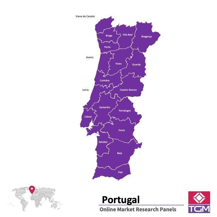 PANEL ONLINE DI PORTUGAL |  Riset Pasar di Portugal